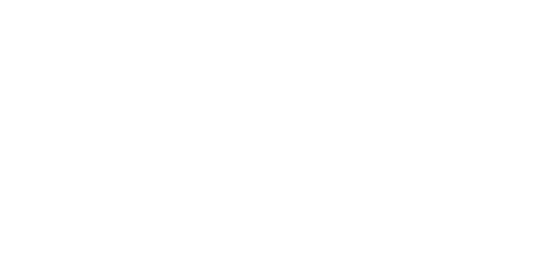 Experten